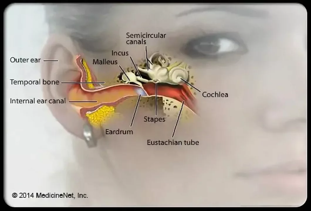 Atenolol and Tinnitus: Can It Cause Ringing in the Ears?