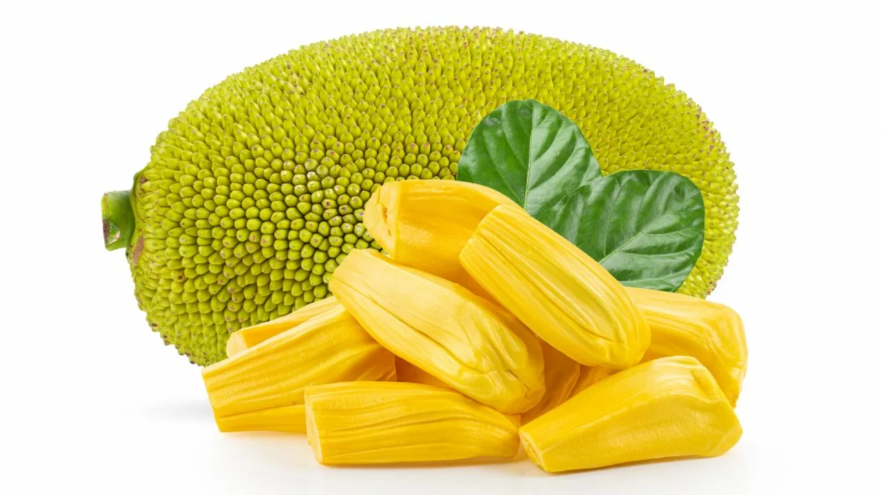 The Jackfruit Revolution: How This Dietary Supplement is Changing the Way We Think About Nutrition