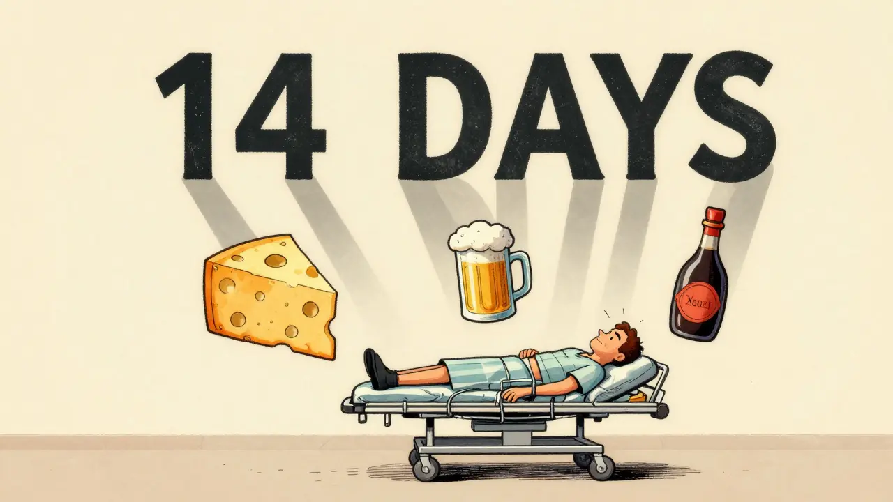 Patient collapsed in ER as food icons cast shadows forming a 14-day countdown clock, in vintage medical illustration style.